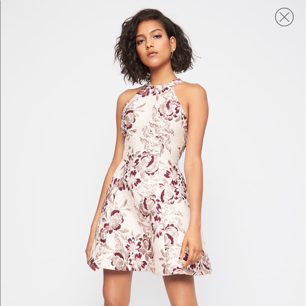 Dress the population Hannah A-line dress